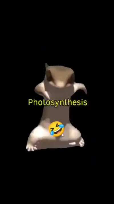 meme dekh bhai