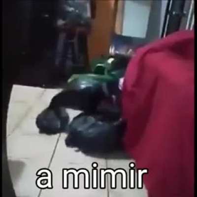 A mimir
