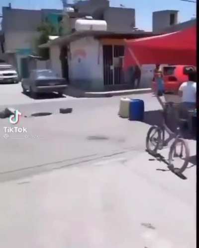 what the dog doing?