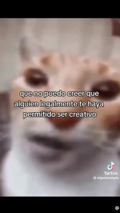 No es gracioso no me rei