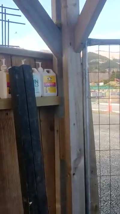 🍋