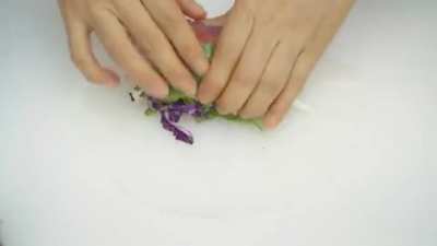 Veggie Rice Paper Rolls