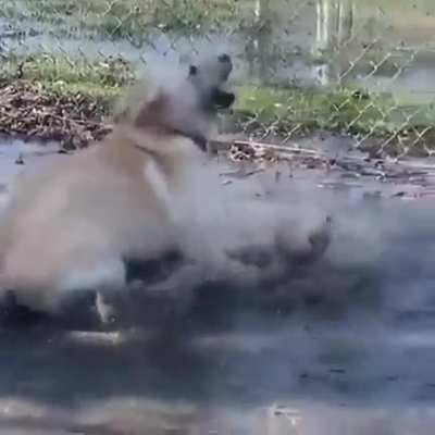 He sploosh
