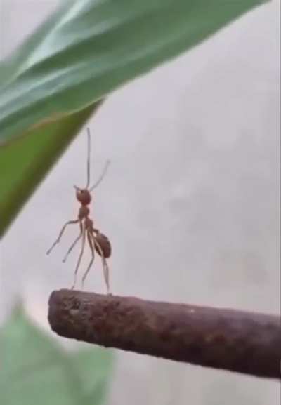 Awwwwwww