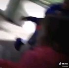 Monkey attacks