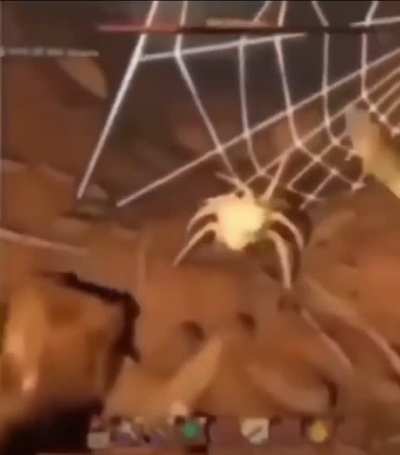 In to the shadowrealm
