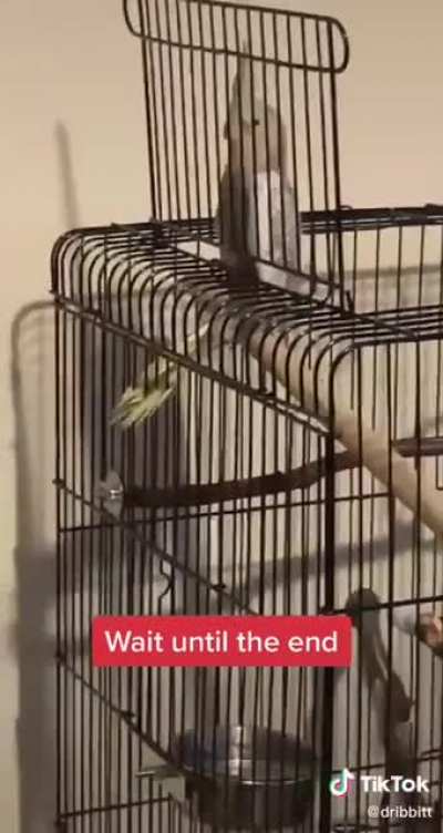 don't do it, you're gonna fall...