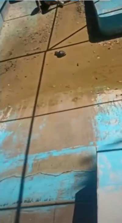WCGW sliding down this thing?