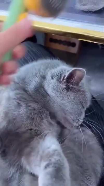 Satisfying brushing