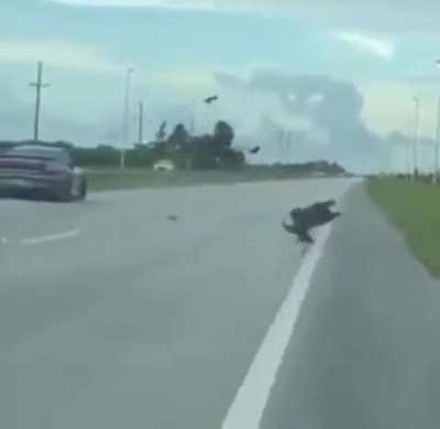 A very costly wheelie [Credit: u/weshenrique]