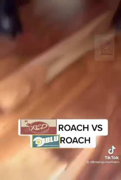 A mate of mine really wanted me to make this (I dont use reddit much so I'm not sure if there is sound)