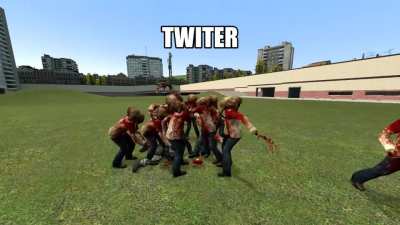 TWITTER