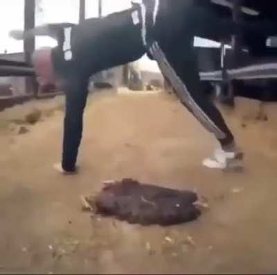 spin
