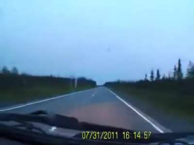 Car crashes into a deer