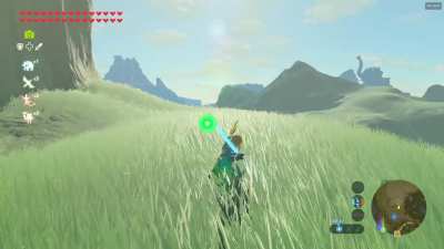 Ahh, the satisfaction, Only Korok seeds to go now.
