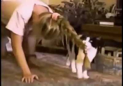 Just walking my human..