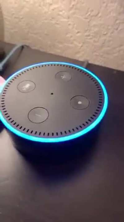 Dude flirting with Alexa 🤣🤣