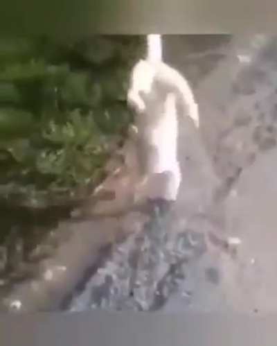 Делишес