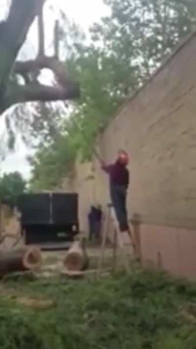 Log uppercut