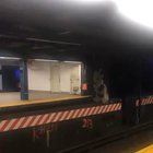 Another day on the train