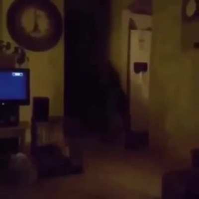 POV: you're hiding and the ghost finds you
