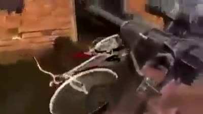 Bloodsucker on bike