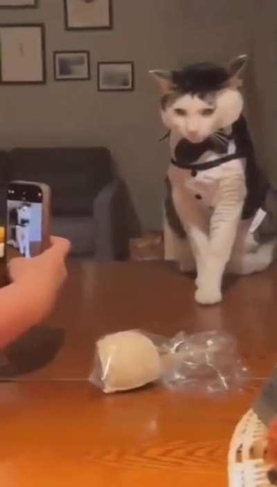 He’s so good! AH-