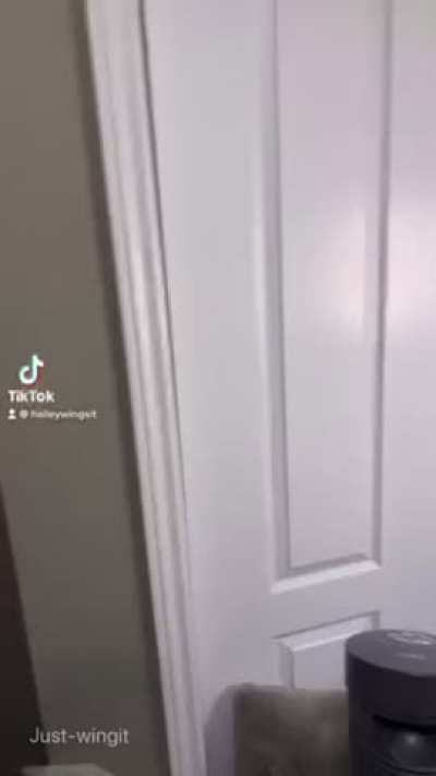 [OC] Don’t blink or you’ll miss something