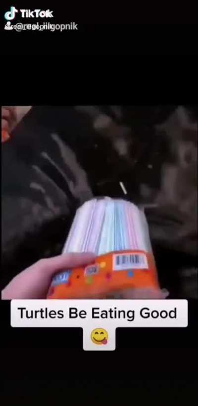 Feeding turtles straws