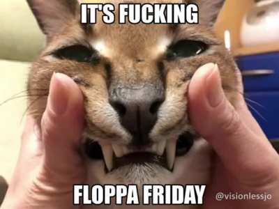 And on the 5th day, God created floppa, and we all rejoiced