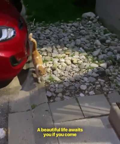 Maybe maybe maybe 