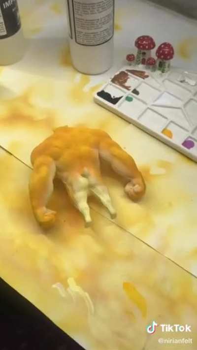 É ele chat !