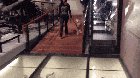 Doggo walks on glass for the first time