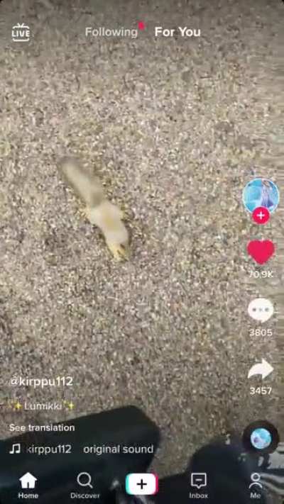 Found on tiktok
