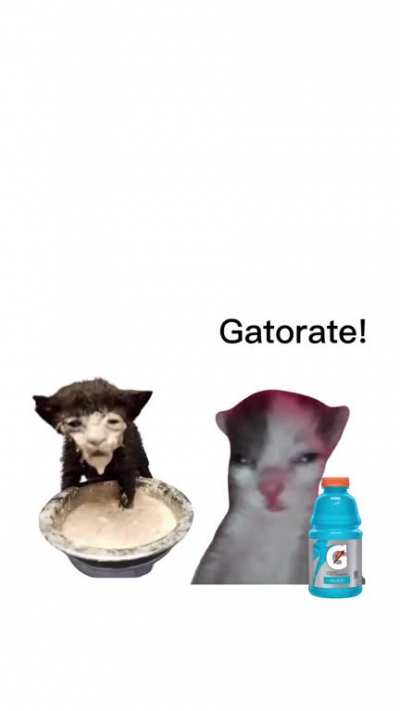 😎