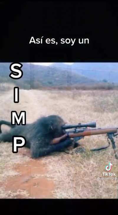 Simp