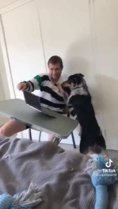 Working from home