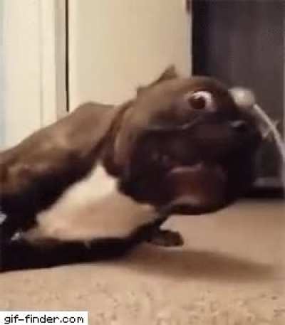 Что ты можешь знать о безумии?!