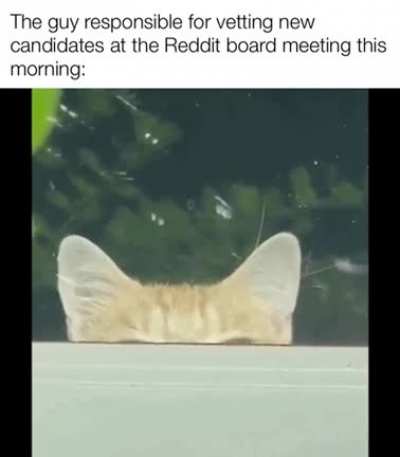 Performance review time