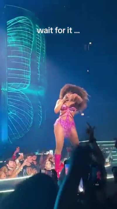 Megan Thee Stallion