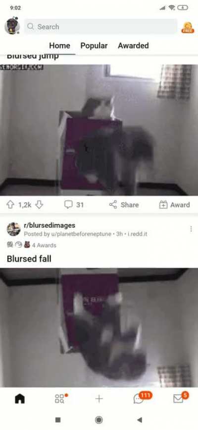 blursed loop
