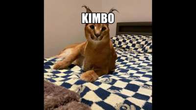 K I M B O