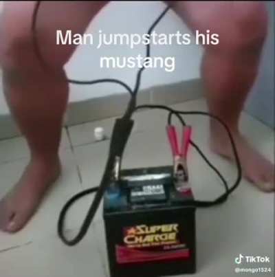 Losercity mustang 