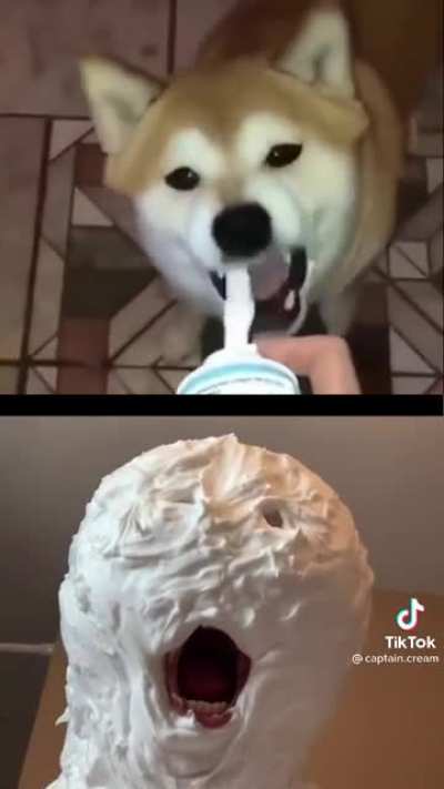 Shiba