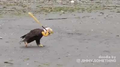 ‘Merica unit