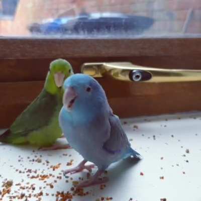 That new friend feeling