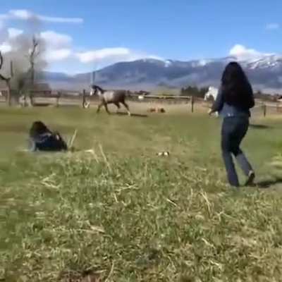 Champagne on a horse