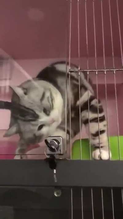Хоба!