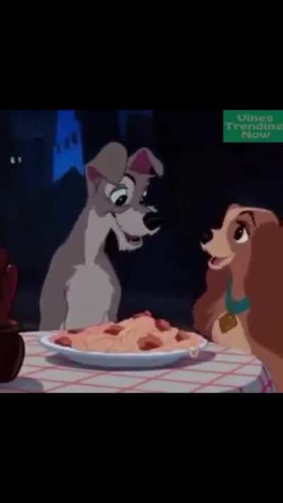 Lady and The Tramp in real life