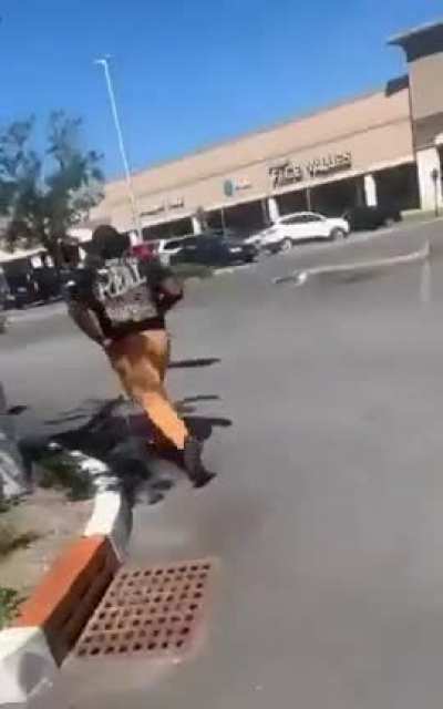 Trying to knock down a wasp nest with a pole